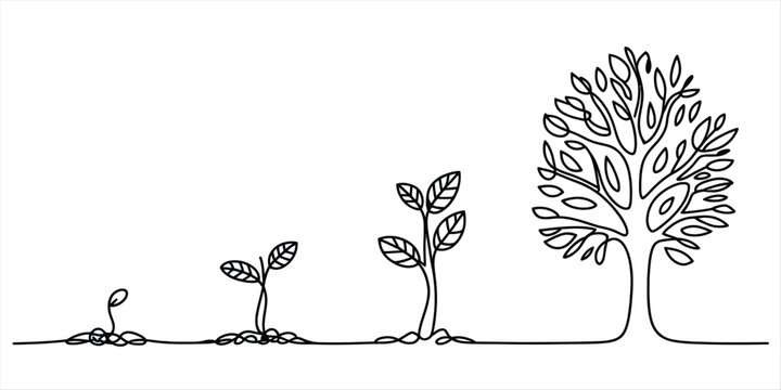 One line art illustration of the lifecycle of a tree from seedling to a large full grown plant. Vector, illustration