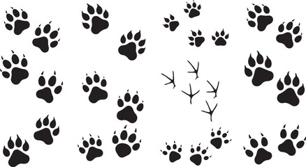 Fototapeta premium A diverse collection of black animal footprint silhouettes, including clawed predator paws and bird tracks.