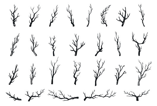 Silhouette twigs. Tree branches, rustic sticks. Hand drawn wood twig, winter bare black branch, forest outline wooden logs. Woodland minimal doodles, Halloween horror vector sketch isolated set