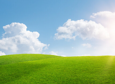 Sunny green meadow and hills with grass under blue sky with soft clouds