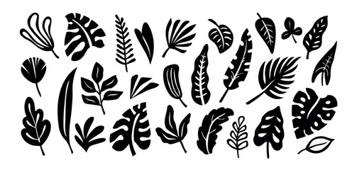 Black tropical leaves vector set with monstera, palm, philodendron and abstract foliage silhouettes, simple botanical cutout shapes, monochrome exotic leaf elements © Tartila
