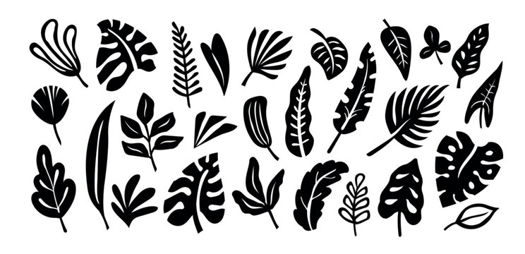 Black tropical leaves vector set with monstera, palm, philodendron and abstract foliage silhouettes, simple botanical cutout shapes, monochrome exotic leaf elements
