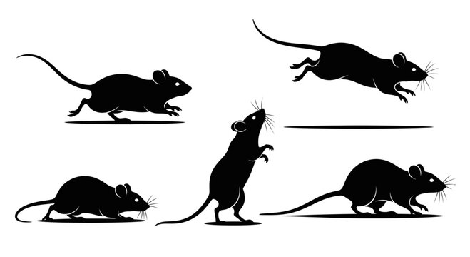 Silhouette Of Mice In Different Actions Against A White Background In An Artistic Style