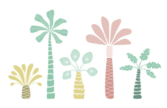 Minimalist tropical palm tree set in pastel colors, abstract botanical vector illustration on light background.