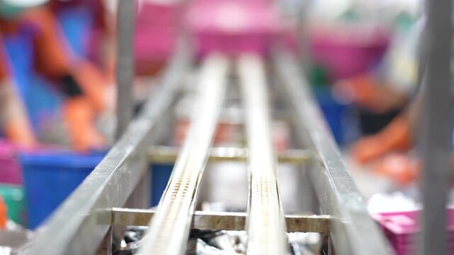 an empty automated conveyor belt system in a modern factory production line with blurred industrial workers in background.