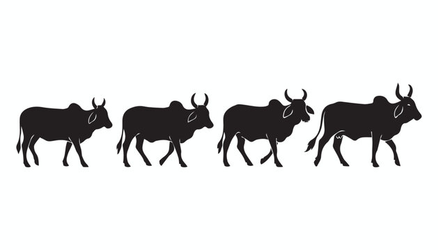 black and white silhouette set of Indian cow very high quality vector illustration.
