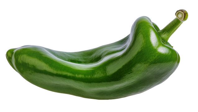 Shiny green poblano pepper with stem, isolated on transparent background