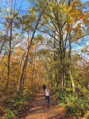 Fototapeta premium Two cyclists riding through autumn forest on submerged path way