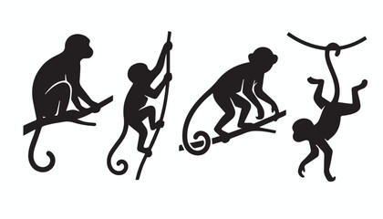 black and white silhouette set of monkey very high quality vector illustration. © dinesh