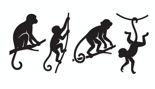 black and white silhouette set of monkey very high quality vector illustration.