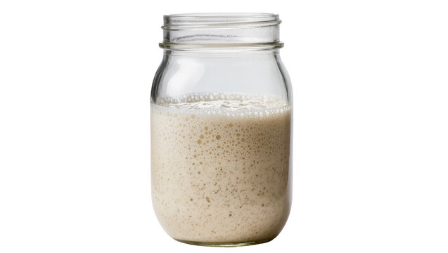 Glass mason jar filled with bubbly sourdough starter, isolated on transparent background