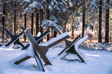 Historical anti-tank obstacles, known as Czech hedgehogs, covered in snow. Part of the pre-war border fortifications in a winter spruce forest in the Orlicke Mountains, Czech Republic © Rudolf