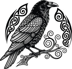 Fototapeta premium Detailed Celtic Crow Vector Illustration Featuring Intricate Knotwork Patterns and Ornate Perched Raven Design for Mythical Gothic and Pagan Theme Branding