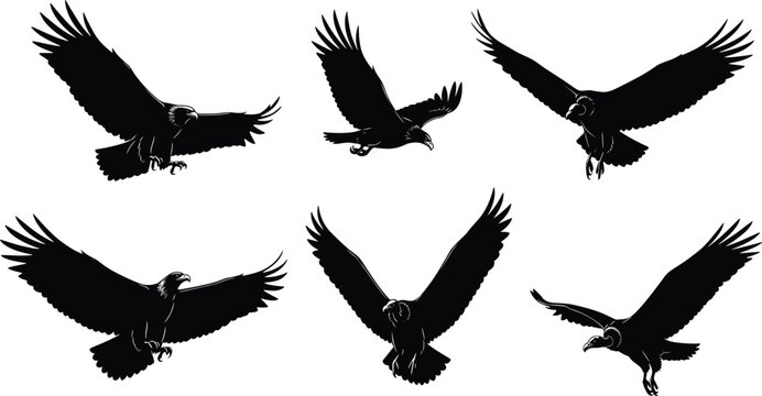 Eagle silhouettes set, flying birds of prey vector collection with spread wings for wildlife design, freedom concept, and nature illustration projects