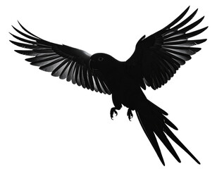 Obraz premium Silhouette of a thriving black bird in flight with outstretched wings