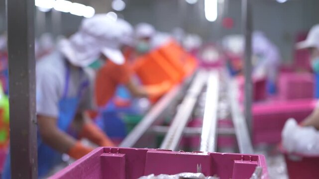 Fresh raw small fish in a pink plastic crate on a production line at a modern seafood processing factory with workers in the blurred background.