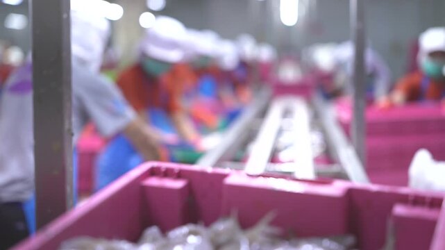 Fresh raw small fish in a pink plastic crate on a production line at a modern seafood processing factory with workers in the blurred background.
