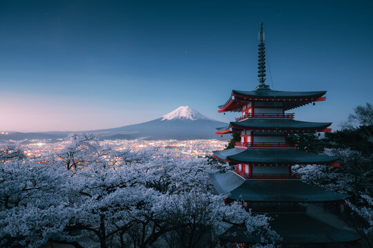 View of the iconic red Chureito Pagoda framed by cherry blossoms, with snow-capped Mount Fuji and the city lights twinkling, Fujiyoshida, Yamanashi, Japan.