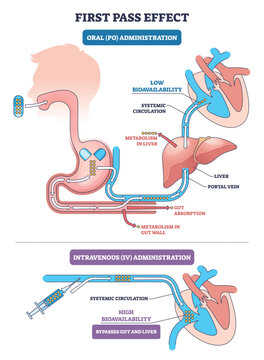 First pass effect diagram showing how oral drugs face gut and liver metabolism versus IV route reaching systemic circulation, key objects, liver, stomach, syringe. Outline diagram