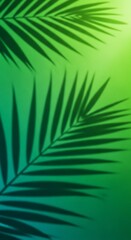 Obraz premium Tropical Palm Leaf Shadows on Green Gradient Background.