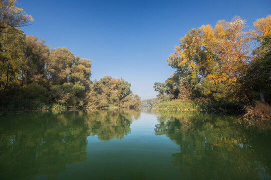 View of the Danube's oxbow lake reflects the autumn trees under a tranquil blue sky, creating a serene landscape, Bodiky, Trnava Region, Slovakia.