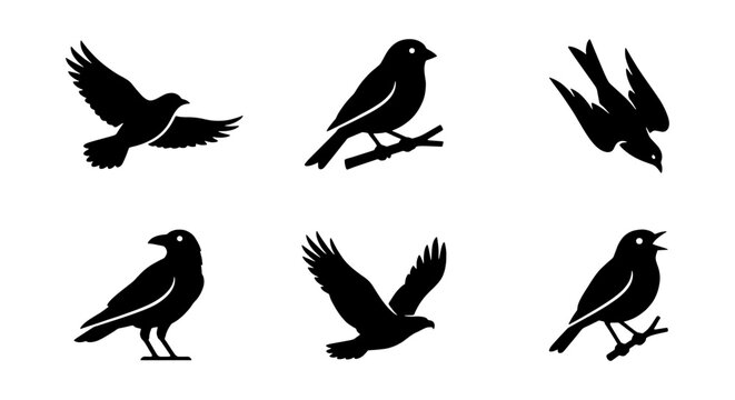 Minimalist bird silhouettes collection, 6 black vector bird icons, flying and perched songbird shapes, wild bird nature graphics for logo design