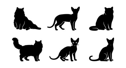 Black cat silhouette collection, set of 6 feline vector icons in various poses, minimalist domestic cat outlines for pet branding and graphic design © MdRipon