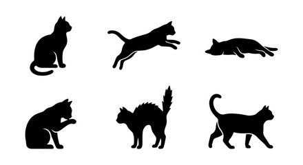 Black cat silhouette collection, set of 6 feline vector icons in various poses, minimalist animal shapes for pet branding and graphic design © MdRipon