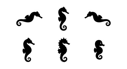 Black seahorse silhouette collection, set of 6 marine animal icons, minimalist sea horse vector illustrations for aquatic branding and nautical design © Tariqul