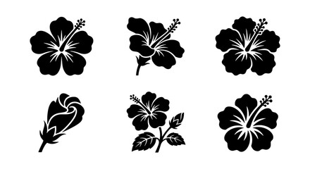Hibiscus flower black silhouette icons, tropical floral blossom vector set of 6 elements, exotic Hawaiian plant stencils for summer design © Tariqul