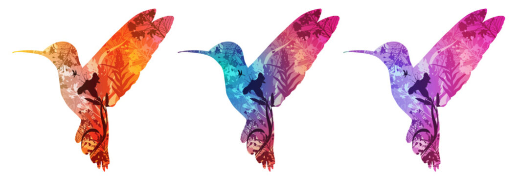 A set of hummingbirds for your design. The silhouettes feature a vibrant background with tropical flowers and insects. Isolated objects.
