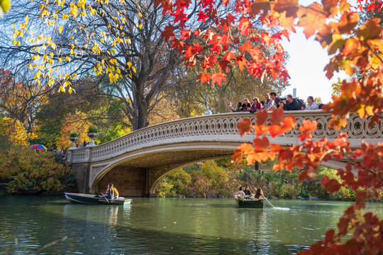 Manhattan, United States - 08 November 2025: View of Bow Bridge in Central Park is framed by fiery autumn foliage, with boats gliding on the tranquil water below.