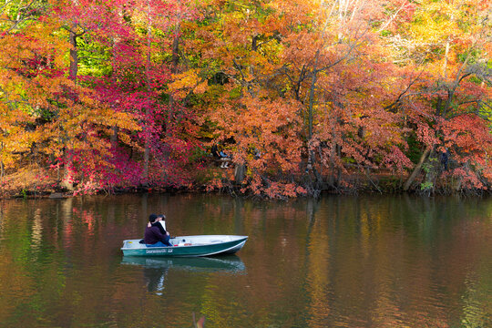 Manhattan, United States - 08 November 2025: View of a tranquil rowboat drifting on the glassy lake, mirroring the vibrant autumn foliage in Central Park, New York.