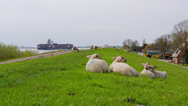 An der Elbe