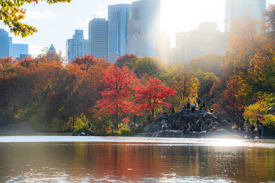 Manhattan, United States - 08 November 2025: View of the vibrant fall foliage ablaze in Central Park, mirrored in the tranquil lake beneath the towering city skyline.