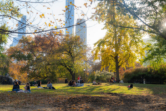 Manhattan, United States - 08 November 2025: View of Central Park's vibrant fall foliage contrasting with the sharp, modern skyscrapers in the distance, as people relax on the sun-drenched lawn.