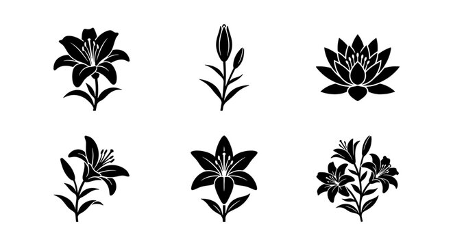 Elegant lily flower icons set, black floral silhouettes of blooming lilies and lotus, 6 vector botanical elements for wedding and logo design