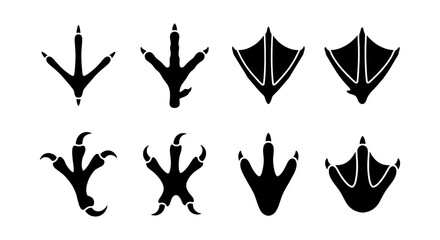 Bird footprint silhouettes collection, 8 black avian paw print icons, duck and chicken webbed feet vector set, wildlife tracking symbols © Zubair