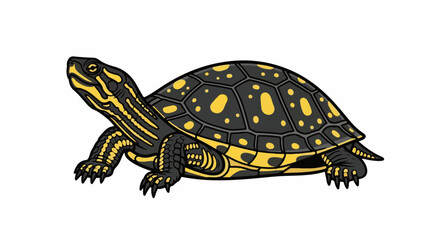 Obraz premium Detailed illustration of a yellow-spotted turtle on a white background