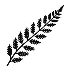 Fototapeta premium Black Fern Leaf Silhouette Isolated on White Background Botanical Graphic