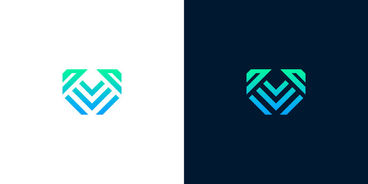 Modern Shield Logo Design with Abstract Geometric Lines on White and Dark Blue Backgrounds