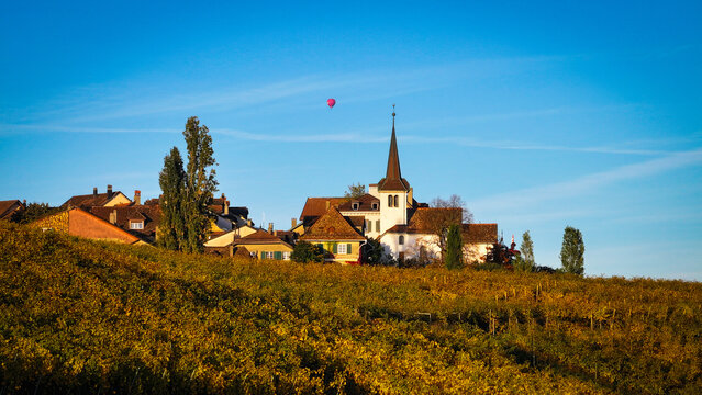 Aerial view of the village steeple rising amidst the vineyards, a tapestry of autumnal hues under a clear sky, Fechy, Vaud, Switzerland.