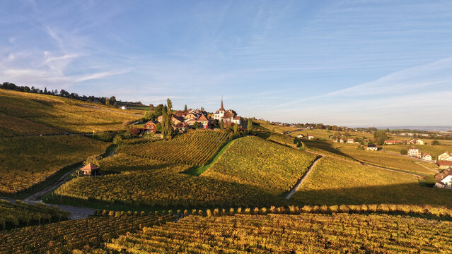 Aerial view of a quaint village nestled amidst golden vineyards under a serene sky, the church steeple piercing the horizon, Fechy, Vaud, Switzerland.