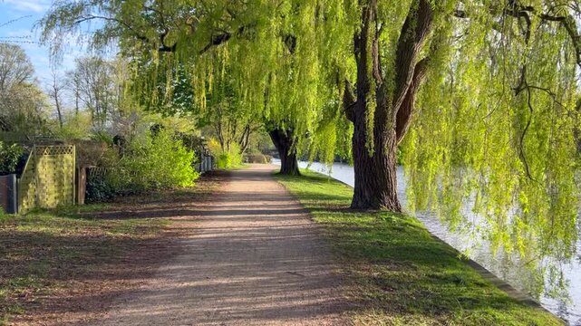 Cycling along the Alster River in a park in Hamburg Alsterdorf in beautiful spring sunlight, POV footage