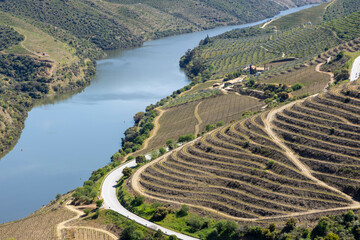 Douro river winding through terraced vineyards valley © Barosanu