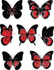 Fototapeta premium A collection of vibrantly colored butterflies some shown in stark black contrast creating a dramatic silhouette high quality professional detailed modern
