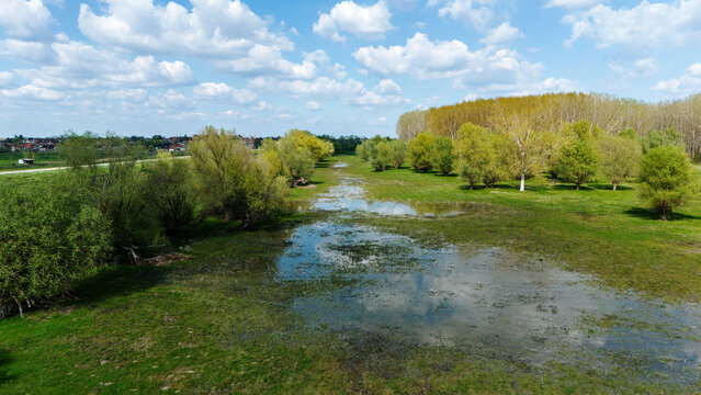Aerial view of a marshland reflecting the sky, bordered by verdant grass and trees transitioning from green to yellow, Kovilj, Vojvodina, Serbia.