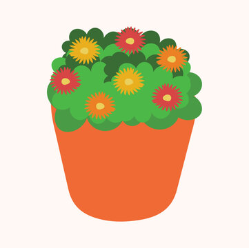 Illustration of flowers in pots ornamental plants summer flowers