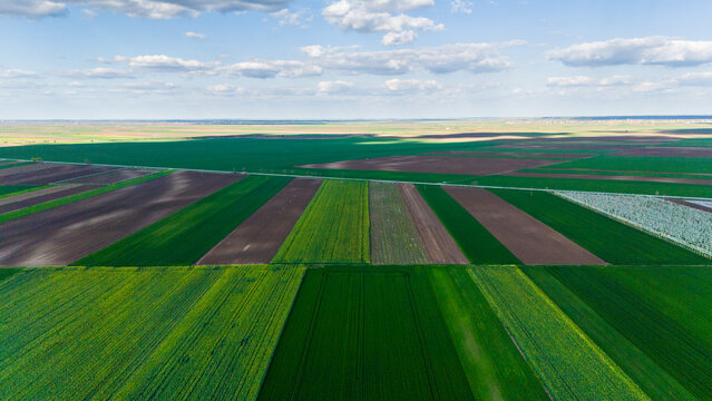 Aerial view of fields of vibrant green and brown patchwork creating a stunning contrast under a cloudy sky, Kovilj, Vojvodina, Serbia.