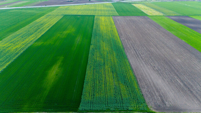 Aerial view of vibrant green and earthy brown fields create a patchwork quilt across the landscape, a testament to the agricultural heartland, Kovilj, Vojvodina, Serbia.